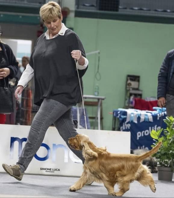 Great shw results for Dina....